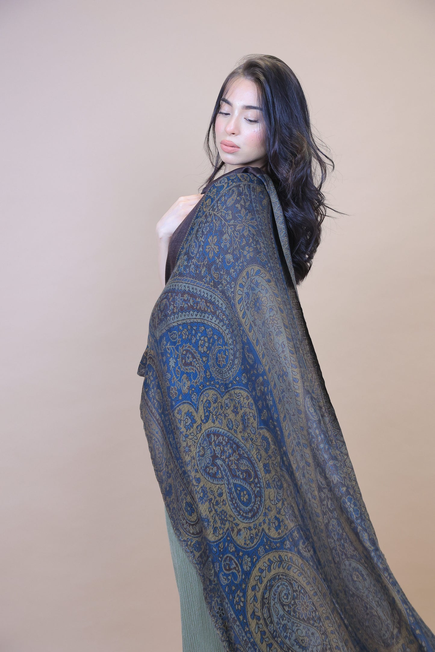 NEW Pure Satoosh Elegant Luxury Beautiful Winter Shawl Shaal Classy Circle Prestigious Paisley Patterns Accessories Blue Yellow Green One of A Kind Soft