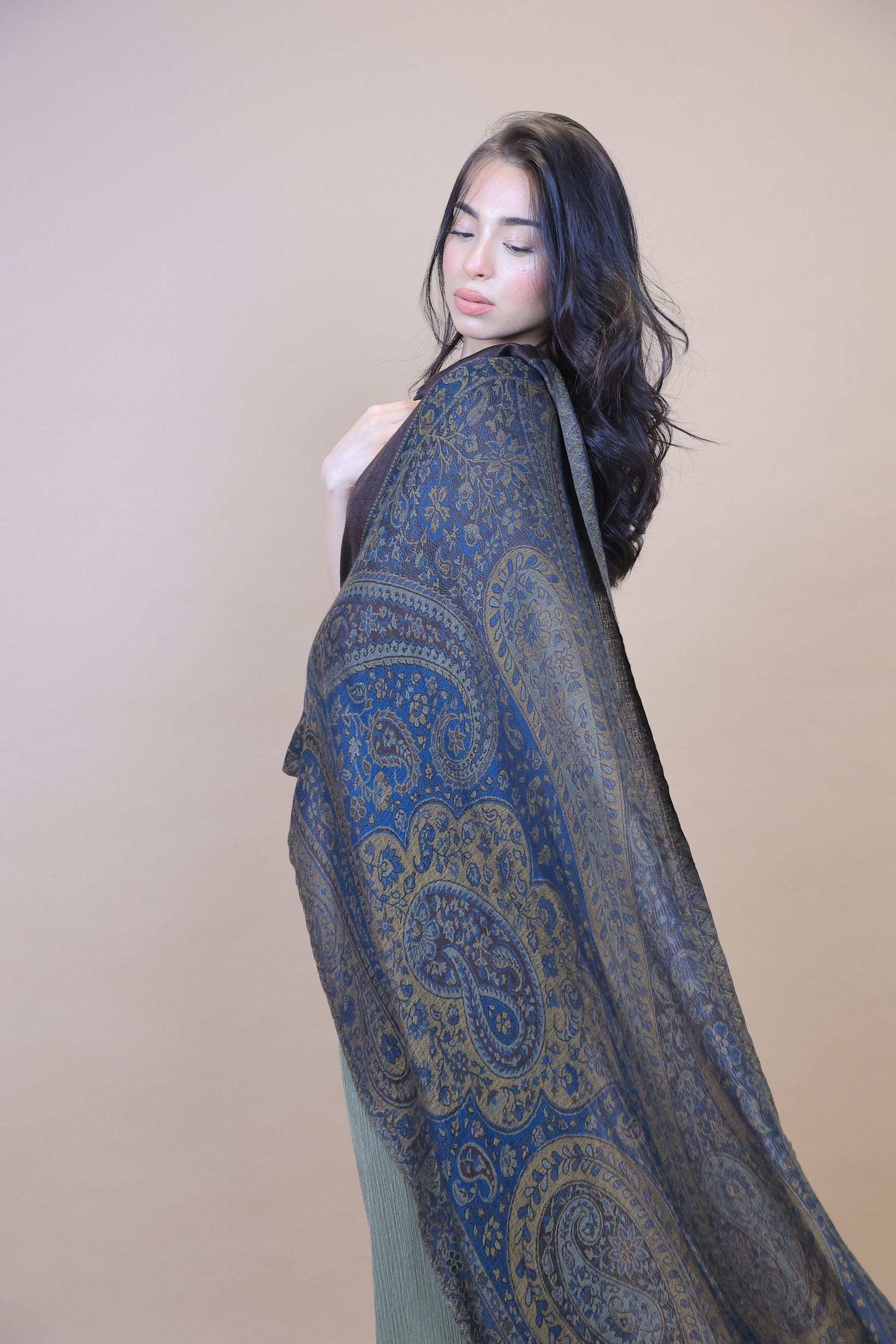 NEW Pure Satoosh Elegant Luxury Beautiful Winter Shawl Shaal Classy Circle Prestigious Paisley  Patterns Accessories Blue Yellow Green One of A Kind Soft 