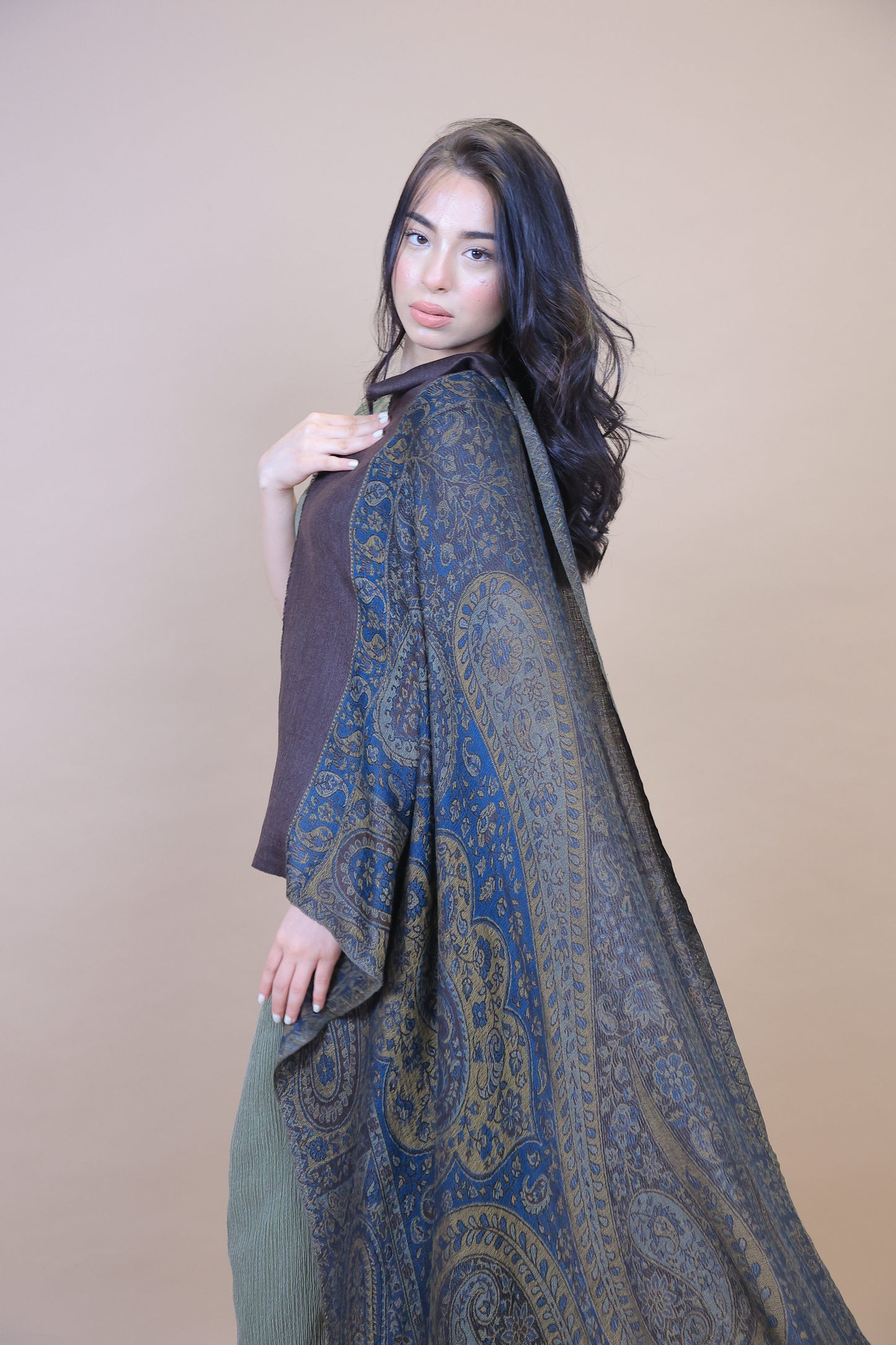 NEW Pure Satoosh Elegant Luxury Beautiful Winter Shawl Shaal Classy Circle Prestigious Paisley  Patterns Accessories Blue Yellow Green One of A Kind Soft 